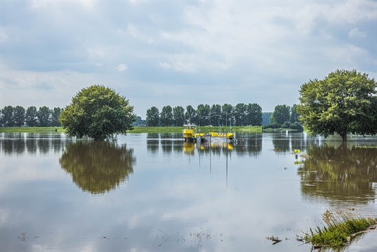 hoogwater-maas-juli-2021-0721-pond-pondje (1) (1)